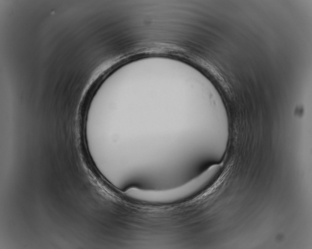 X0000099931122200806201050