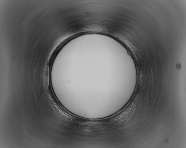 X0000099931123200806201050