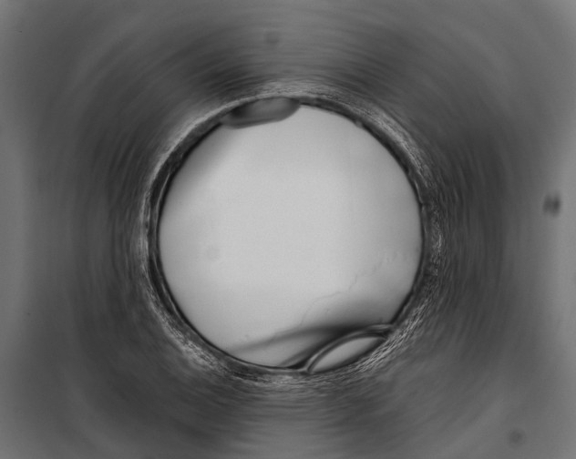 X0000099931124200806201050