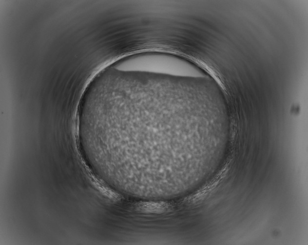 X0000099931125200806201050