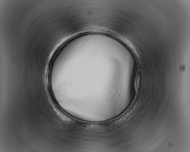 X0000099931128200806201051