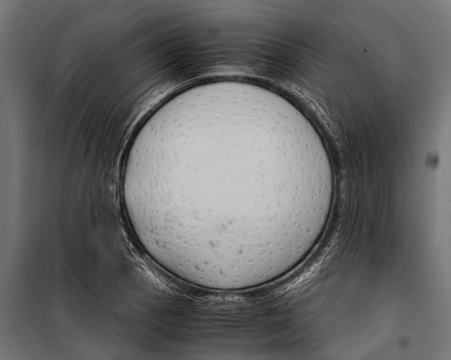 X0000099931129200806201051