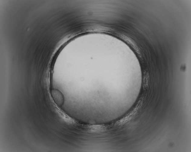 X0000099931130200806201051