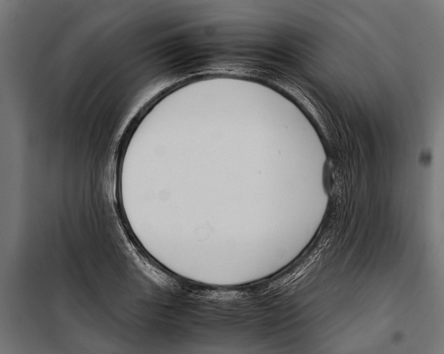 X0000099931131200806201051