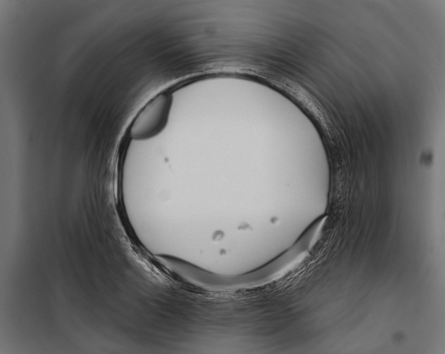 X0000099931132200806201051