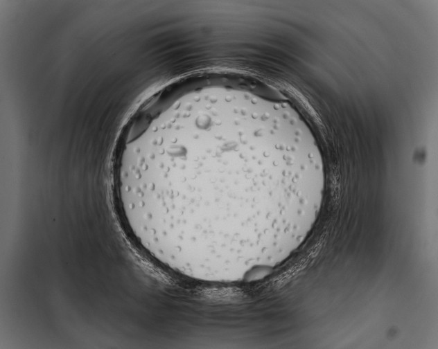 X0000099931133200806201051