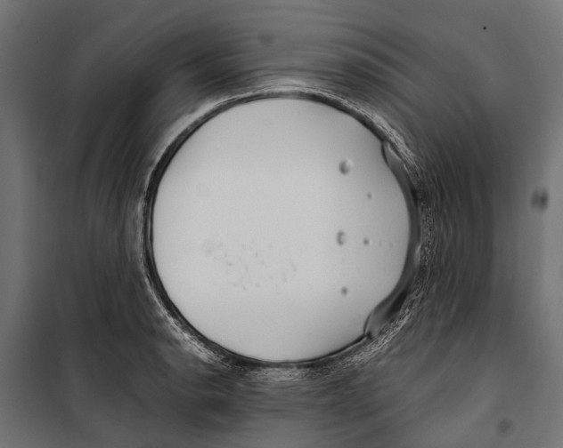 X0000099931134200806201051