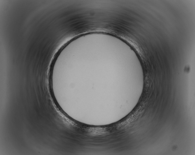 X0000099931135200806201051