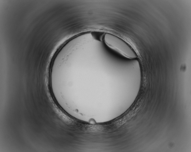 X0000099931136200806201051