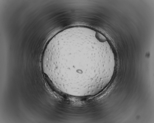 X0000099931137200806201051