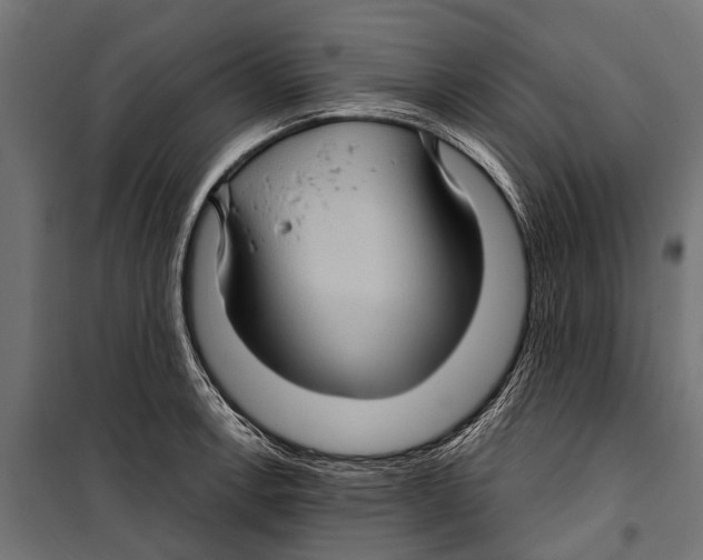 X0000099931138200806201051