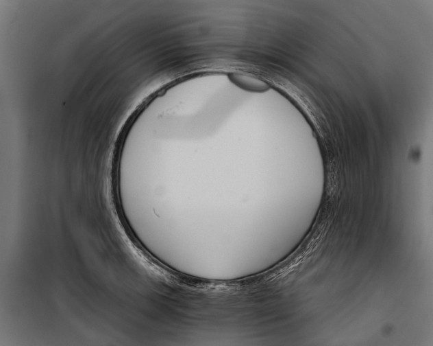 X0000099931139200806201051