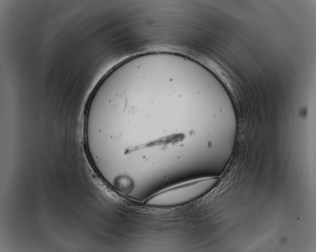 X0000099931140200806201051