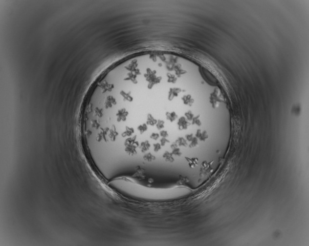 X0000099931141200806201051