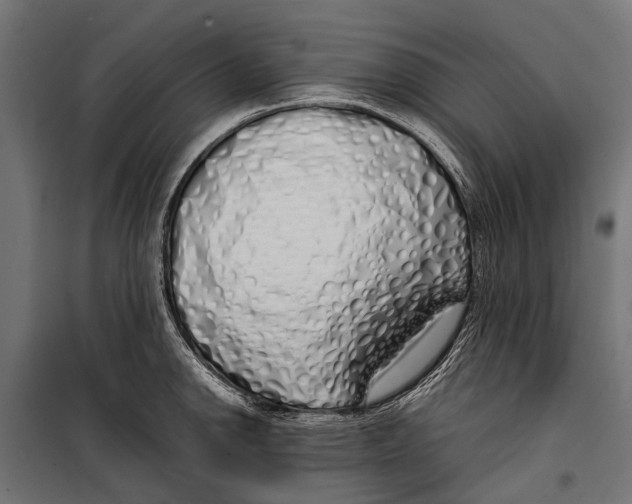 X0000099931142200806201051