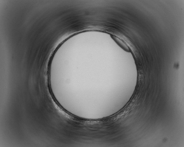 X0000099931143200806201051