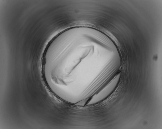 X0000099931144200806201051