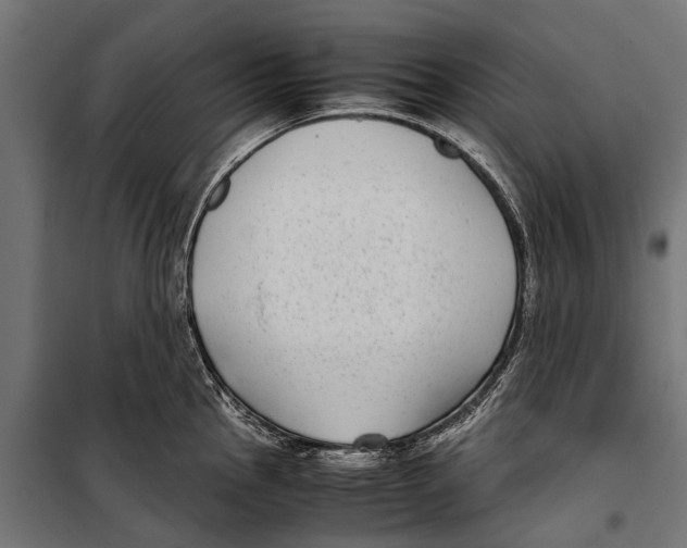 X0000099931145200806201051