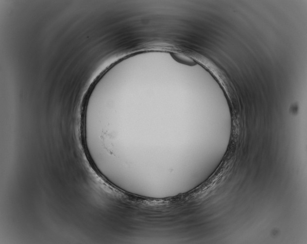 X0000099931147200806201051