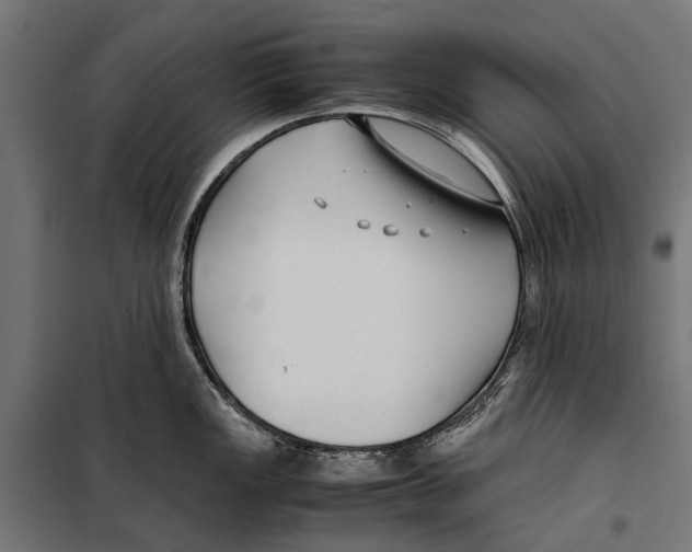 X0000099931149200806201051