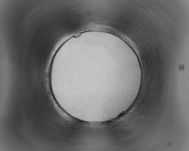 X0000099931152200806201051