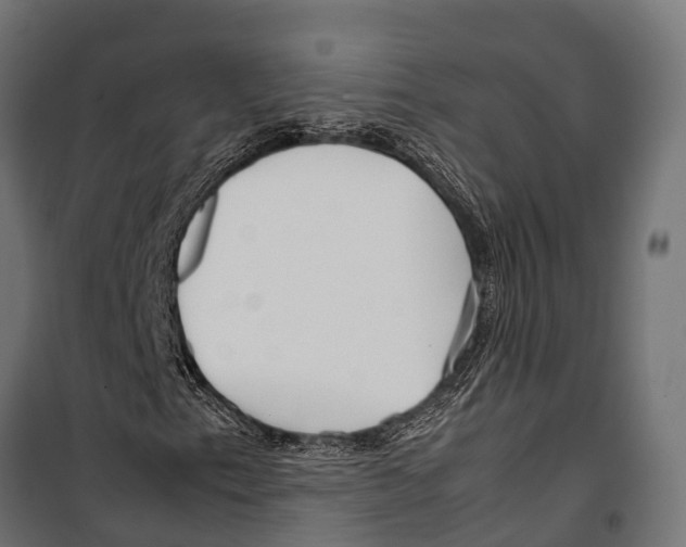 X0000099931153200806201050