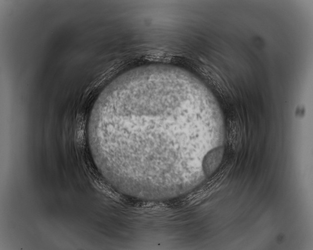 X0000099931154200806201050