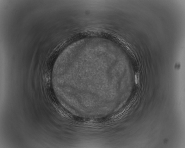 X0000099931155200806201050