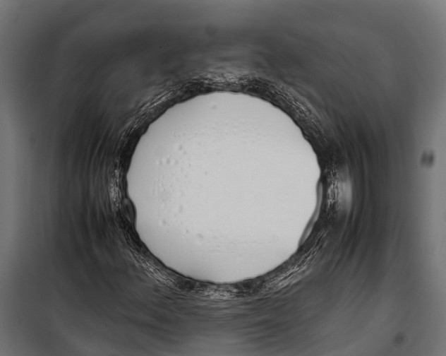 X0000099931156200806201050