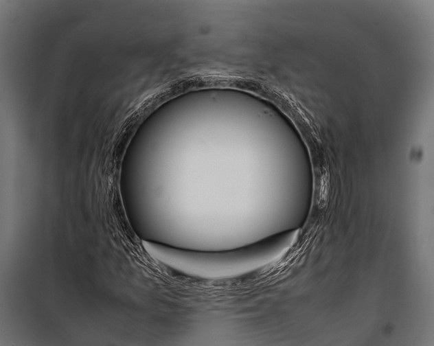 X0000099931157200806201050