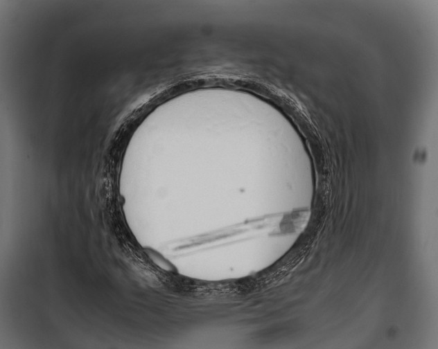 X0000099931159200806201050