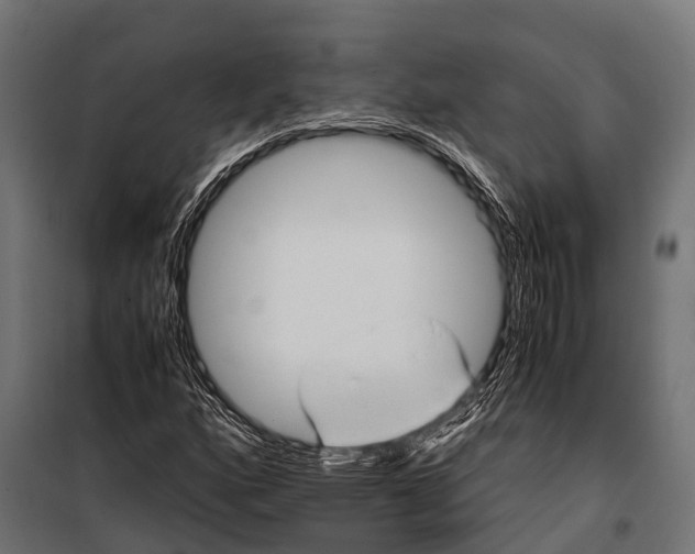 X0000099931160200806201050