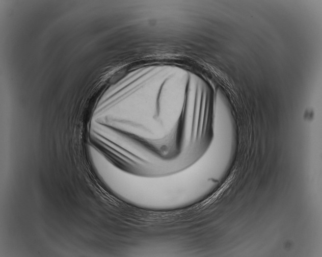 X0000099931161200806201050