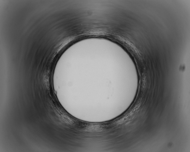 X0000099931162200806201050