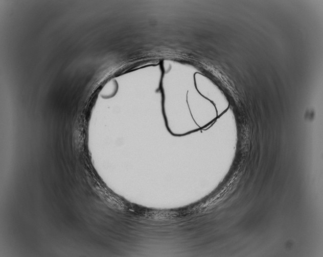 X0000099931163200806201050