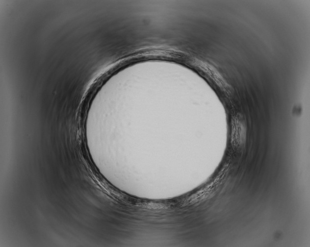 X0000099931164200806201050