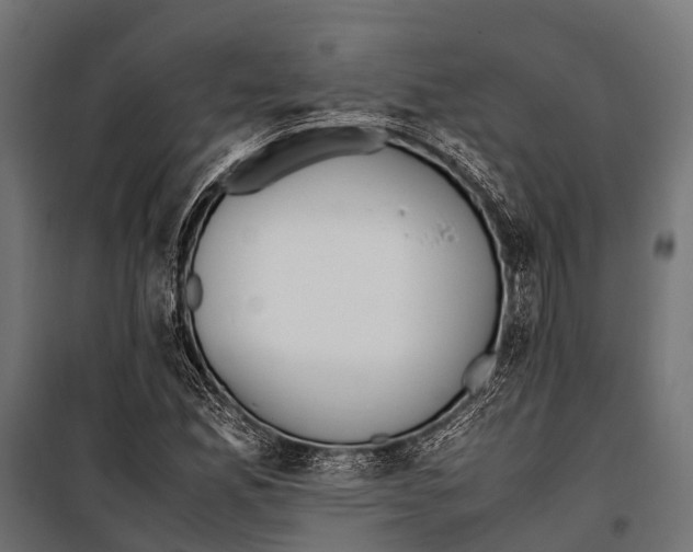 X0000099931165200806201050