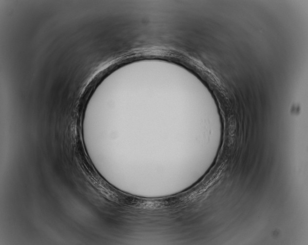 X0000099931166200806201050