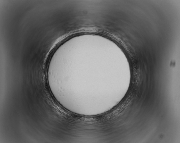 X0000099931168200806201050