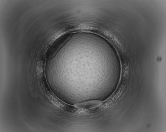 X0000099931169200806201050