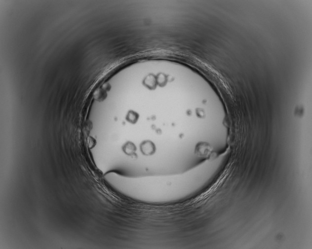 X0000099931170200806201050