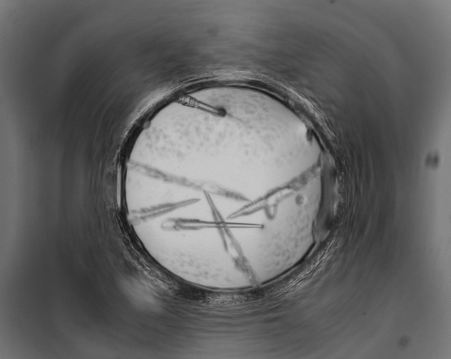 X0000099931171200806201050