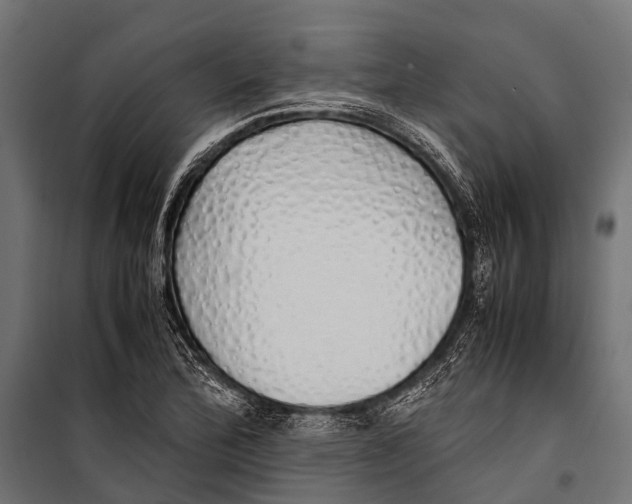 X0000099931172200806201050