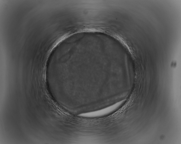 X0000099931173200806201050