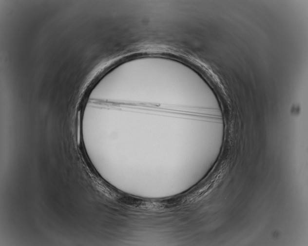 X0000099931175200806201050