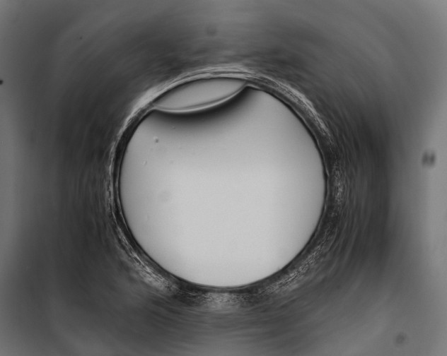 X0000099931176200806201050