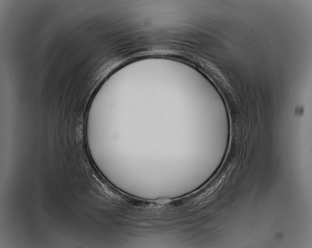 X0000099931177200806201050