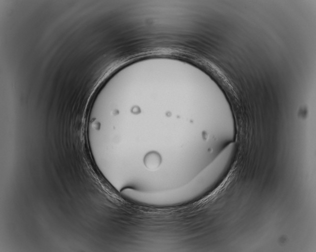 X0000099931178200806201050