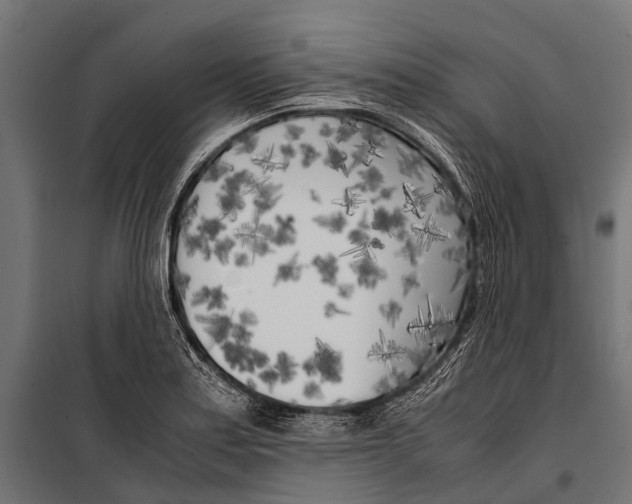 X0000099931179200806201050