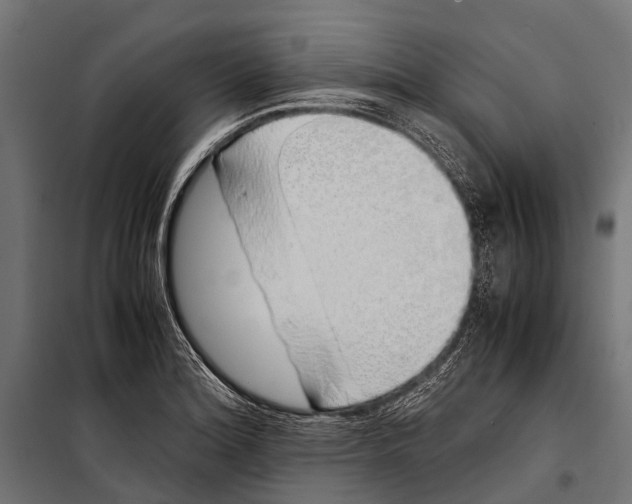 X0000099931180200806201050